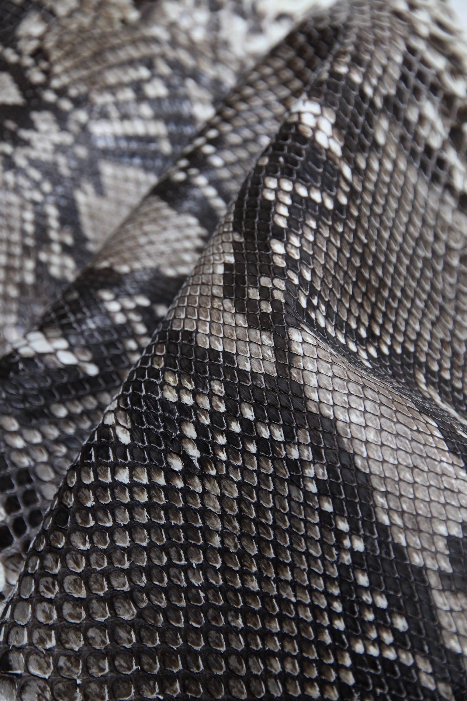 Natural Python Skin